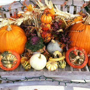 Meet your Posher, Mary ellen